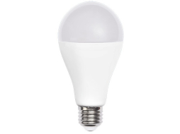 Лампа светодиодная Е27 JAZZWAY PLED-LX A65