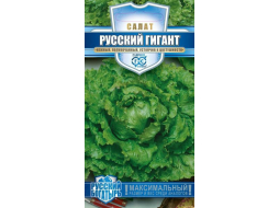 Семена салата Русский богатырь Гигант ГАВРИШ 0,5 г