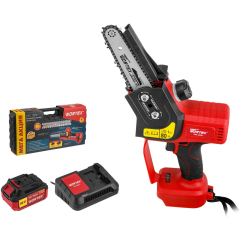 Пила цепная аккумуляторная WORTEX CEC 2518 XLT SET 