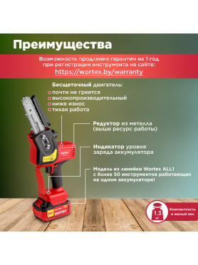 Пила цепная аккумуляторная WORTEX CEC 2518 XLT SET 