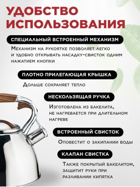 Чайник со свистком PERFECTO LINEA Ceylon 3 л 