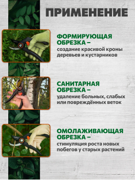 Секатор контактный STARTUL GARDEN 