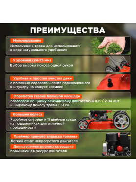 Газонокосилка бензиновая ECO LG-810 