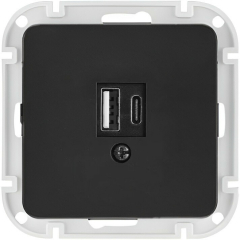 Розетка USB двойная скрытая BYLECTRICA Astrum карбон 