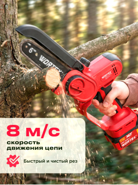 Пила цепная аккумуляторная WORTEX CEC 2518-2 ALL1