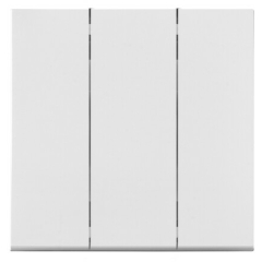 Выключатель скрытый BYLECTRICA Carre