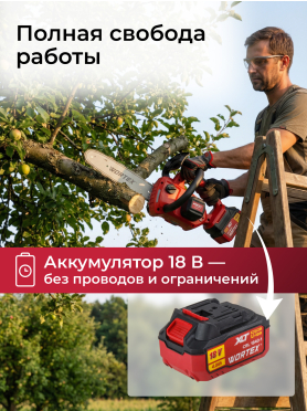 Пила цепная аккумуляторная WORTEX CEC 2518-3 ALL1 XLT SET 
