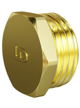 Заглушка латунная с наружной резьбой LD