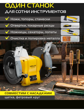Станок точильный (точило) MOLOT MBG 2036 