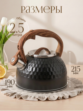 Чайник со свистком PERFECTO LINEA Sikkim 2,5 л 