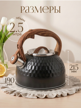 Чайник со свистком PERFECTO LINEA Sikkim 2,5 л 
