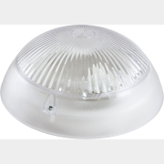 Светильник накладной НПП 03-100-010.01 100 Вт TDM Сириус (SQ0311-0007)