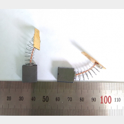 Щетки угольные для циркулярной пилы WORTEX CS 1965 2 штуки (CDY190F-41)