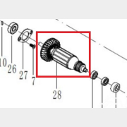 Ротор для полирователя WORTEX PM 1810 SE (DP506-28)