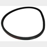 Ремень для виброплиты BIM CP110D (CNP100D025)