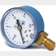 Манометр кислородный РЕДИУС 2,5 МПа (102041)
