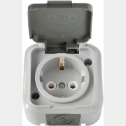 Розетка наружная с заземлением брызгозащищенная BYLECTRICA Пралеска Аква серая (РА16-297(03))