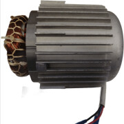 Двигатель в сборе для насоса ECO DP-606 (106390)