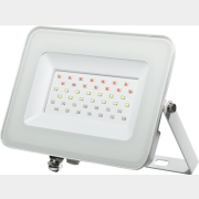 Прожектор светодиодный PFL RGB WH 30 Вт JAZZWAY (5012103)