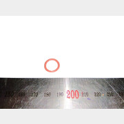 Кольцо ударника 11*2 для перфоратора BULL BH3601 (Z1C-DW-36K4-014)