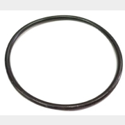 Кольцо крышки фильтра для насоса ECO GFP-1200 (53713-24-02)