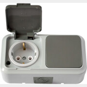 Выключатель с розеткой наружный с заземлением BYLECTRICA Пралеска Аква серый В-РЦ-657(03)