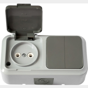 Выключатель двойной с розеткой наружный BYLECTRICA Пралеска Аква серый 2В-РЦ-655(03)