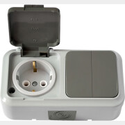 Выключатель двойной с розеткой наружный с заземлением BYLECTRICA Пралеска Аква серый 2В-РЦ-659(03)