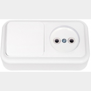 Выключатель с розеткой наружный BYLECTRICA Пралеска белый (В-РЦ-521)