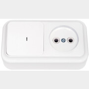 Выключатель с розеткой и подсветкой наружный BYLECTRICA Пралеска белый (В-РЦ-563)