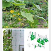 Сетка шпалерная ИНТЕРЛОК 2х5 м (4814200005408)