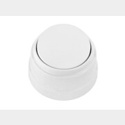 Выключатель одноклавишный наружный BYLECTRICA Ретро белый (А110-2201)