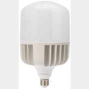 Лампа светодиодная промышленная E27/E40 100 Вт 6500K REXANT (604-072)