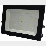 Прожектор светодиодный 100 Вт 6500К TRUENERGY Power Plus черный (13100)