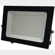 Прожектор светодиодный 100 Вт 6500К TRUENERGY Power Plus черный (13100)