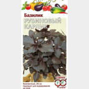 Семена базилика ГАВРИШ Овощая коллекция Рубиновый карлик 0,1 г