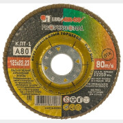 Круг лепестковый 125х22,2 мм P80 плоский LUGAABRASIV КЛТ1 (4603347337967)