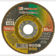 Круг лепестковый 125х22,2 мм P80 плоский LUGAABRASIV КЛТ1 (4603347337967)