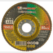 Круг лепестковый 125х22,2 мм P80 плоский LUGAABRASIV КЛТ1 (4603347337967)