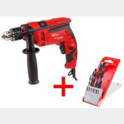 Дрель ударная WORTEX DS 1306-2 (DS130620019A2)