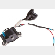 Модуль зажигания 43/52 см3 ECO (GTP-S0216)