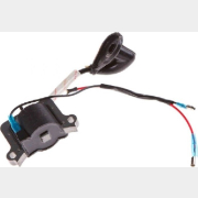 Модуль зажигания 43/52 см3 ECO (GTP-S0216)