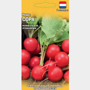 Семена редиса Ведущие мировые производители Сора ГАВРИШ 0,5 г (1999949843)