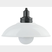 Ночник декоративный светодиодный ЭРА NLED-487-1W-SW-W белый