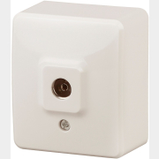 Розетка телевизионная звезда ЭРА Эксперт слоновая кость (11-3201-02)