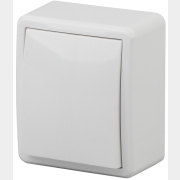 Выключатель одноклавишный наружный ЭРА Эксперт белый (11-1201-01)