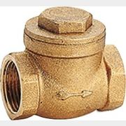 Обратный клапан GIACOMINI N5 (N5Y006)