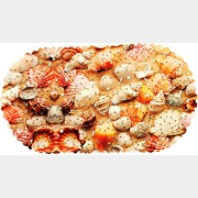 Коврик для ванной комнаты 67х36 см FORA Ракушка (FOR-SPA04)