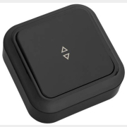 Выключатель одноклавишный проходной наружный двунаправленный BYLECTRICA Пралеска черный (А610-147чер)