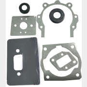 Набор прокладок и сальников бензокосы 43/52см3 для триммера/мотокосы ECO (GTP-S0235)